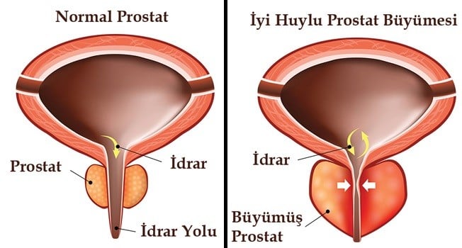 Klinik Haberleri